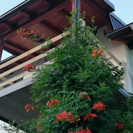 Apartman Grand Appartement Visoko