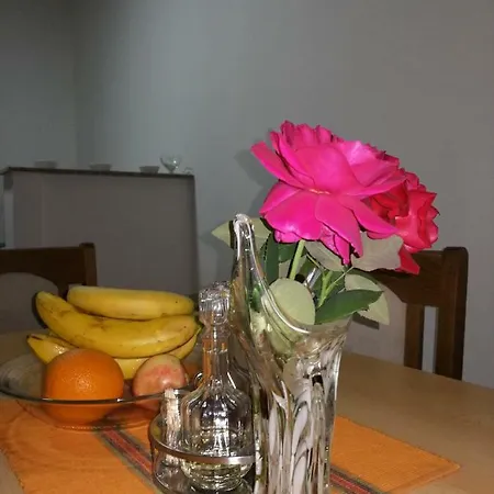 Appartement Apartman Grand *